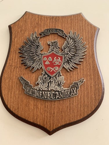 🔴 Militärwappen, Holzschild ABC-Zug Anthrax Kosovo Kfor 16 