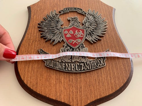 🔴 Militärwappen, Holzschild ABC-Zug Anthrax Kosovo Kfor 16 