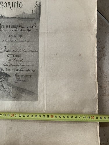 Regno Italie Vittorio Emanuele III Tir Signe Torino Concorso Officiels 1907