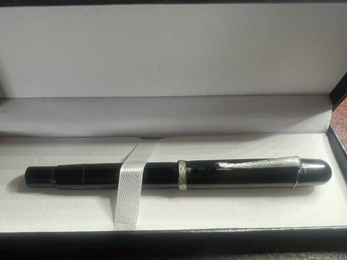 Alster Stylo-Plume Stylo à Plume Celluloid Piston Liège Stylo Plume 6D Vintage