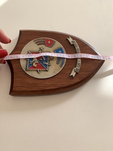 🔴 Militärwappen Holzschild C.do und Transmissions Vittorio Veneto 