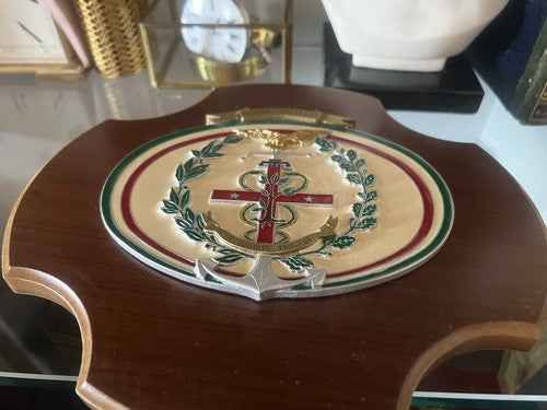 Crest Sanita'Militaire Bouclier Bois Et Métal En Unitate Fructus