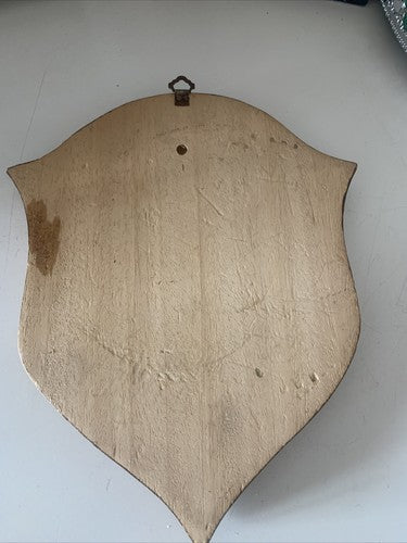 🔴 CREST militare NATO DEVELOPMENT MANAGEMENT AGENCY NAMMA scudo legno