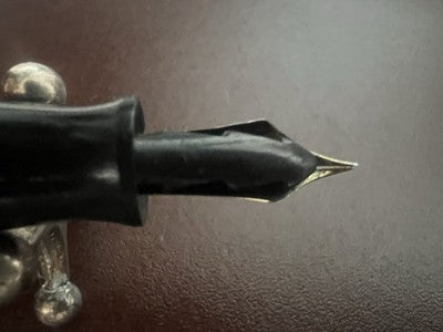 Neptuno Lápiz Pluma Fuente Celuloide Docet Nib Oro Flexible Vintage