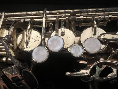 🔴 ROY BENSON Altsaxophon AS202 aus Messing, komplett mit Koffer und Mundstück 