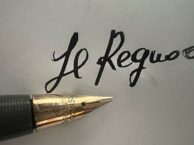 🔴 PEN CO penna stilografica grigia 53 pennino a diamante ORO 14 kt vintage