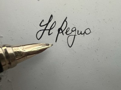🔴 OMAS penna stilografica Rinascimento lacca corallo pennino ORO 14 KT M