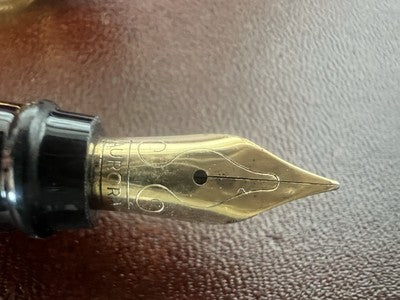 🔴 AURORA penna stilografica Ipsilon bordeaux profili dorati pennino F garanzia