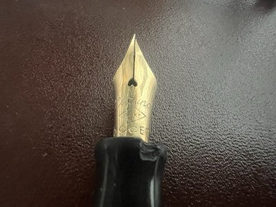 Nettuno Füllfederhalter aus Zelluloid, Docet-Stift, Gold, flexibel, Vintage 