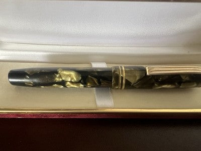 Nettuno Pen Fountain Pen Celluloid Docet Pen Gold Flexible Vintage