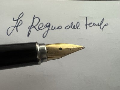 Aurora Stylo-Plume Stylo à Plume Marco Polo Chrome Avec Cartouche Trousse 