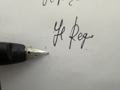 Auretta Pen Fountain Pen By Aurora Luxury With Cartridges Vintage 1970 F