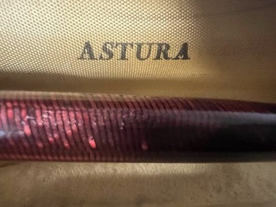 🔴 ASTURA penna stilografica 82 celluloide pulsante di fondo scrive vintage '50