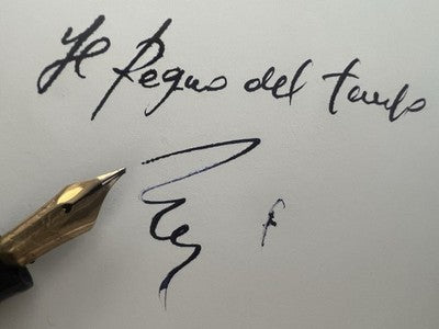 Nettuno Fountain Pen Celluloid Docet Flexible Gold Nib Vintage 
