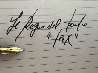 🔴 UNIVERSAL penna stilografica celluloide Rex pennino oro 14k flex vintage