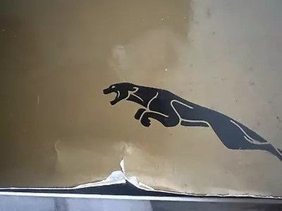Book Jaguar Car Catalogue The Charm Name Piero Casucci 1979 Official