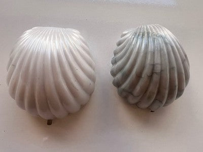Cases Rings Celluloid Seashells Closing Button Green Red Vintage '50