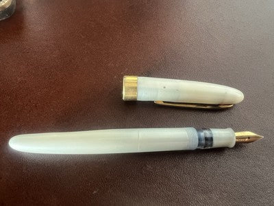 Estense Stylo-Plume Stylo à Plume Celluloid Or 14K Écrit Boîte Vintage