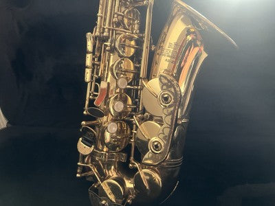 🔴 ROY BENSON Altsaxophon AS202 aus Messing, komplett mit Koffer und Mundstück 