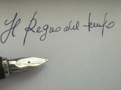 🔴 AURORA penna stilografica Hastil ARGENTO MASSICCIO 925 pennino ORO bianco M