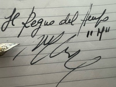 🔴 REFORM penna stilografica bordeaux cappuccio guillocchè M Germany vintage