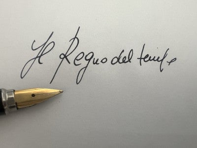 Aurora Stylo-Plume Stylo à Plume Marco Polo Doré Avec Cartouche Et Guarantee 