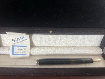 Columbus Stylo-Plume Stylo à Plume Bureau Extra 21 Piston Or 14 Vintage