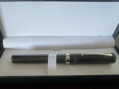 🔴 SHEAFFER penna stilografica grigia a cartuccia pennino F No Nonsense vintage
