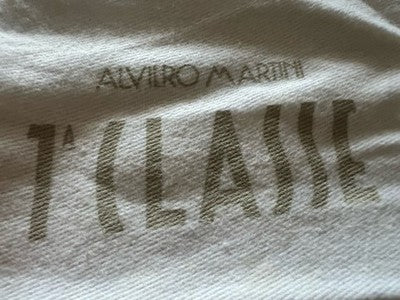 🔴 ALVIERO MARTINI sacca borsa accessori anti polvere o viaggio L 49 h 48 cm