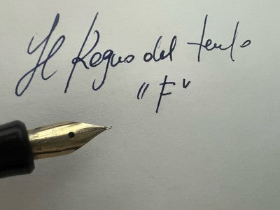 🔴 ERO penna stilografica nera a pistone pennino F scrive vintage