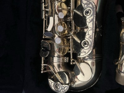 🔴 ROY BENSON Altsaxophon AS202 aus Messing, komplett mit Koffer und Mundstück 