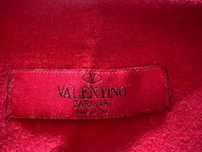 🔴 VALENTINO GRAVANI sacca borsa accessori anti polvere o viaggio L 20 h 33 cm