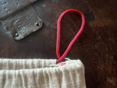 🔴 VALENTINO GRAVANI sacca borsa accessori anti polvere o viaggio L 27 h 40 cm