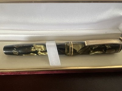 Nettuno Fountain Pen Celluloid Docet Flexible Gold Nib Vintage 