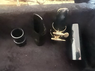 🔴 ROY BENSON Altsaxophon AS202 aus Messing, komplett mit Koffer und Mundstück 