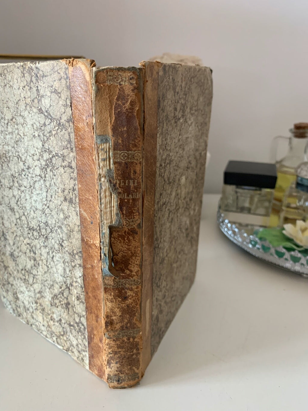 Livre Vocabulaire de Mots Et Modes Errones Ugolini Urbania Antique 1848 