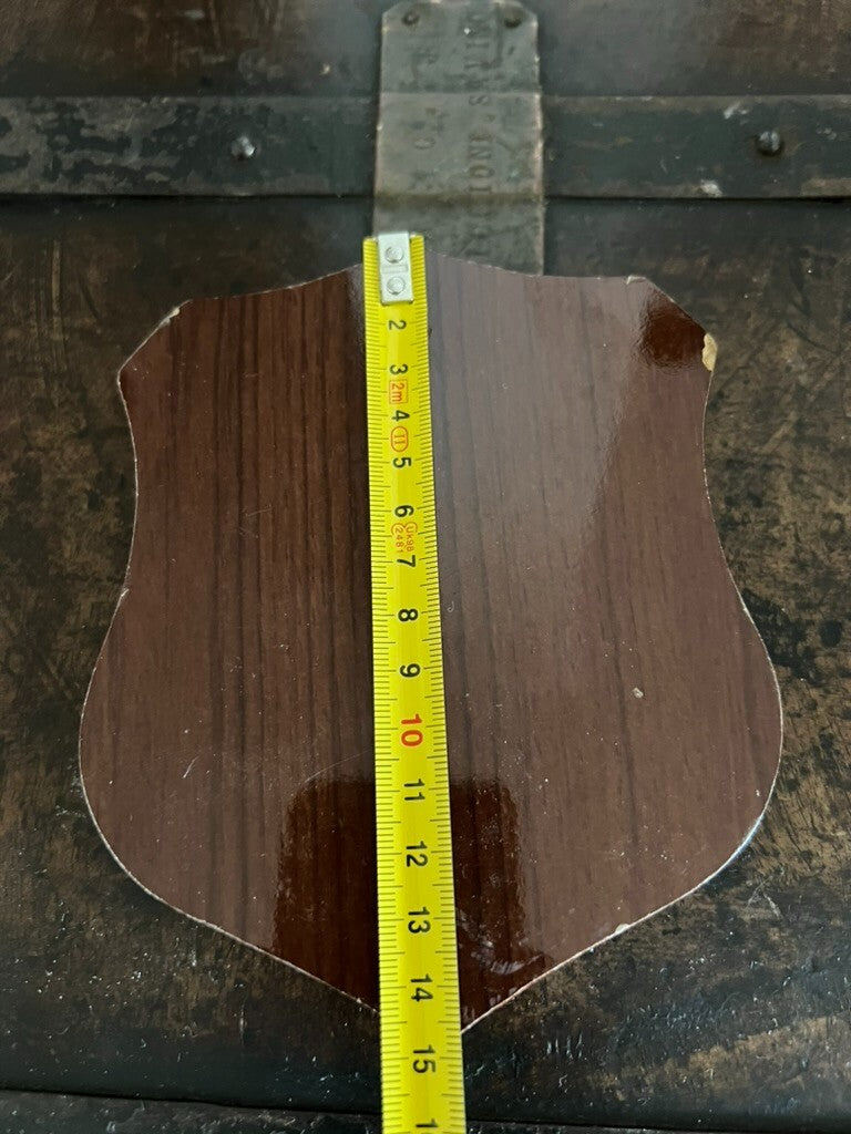 🔴 Crest CARABINIERI TUTELA AMBIENTE scudo legno lucidato metallo smalti h 15