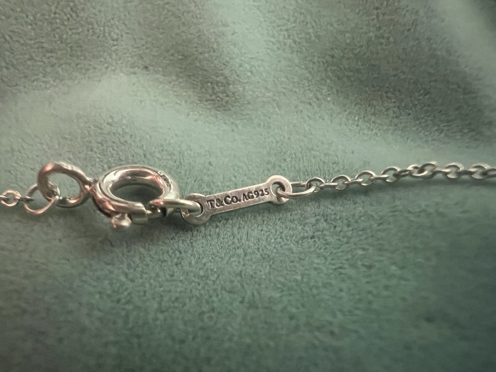 Tiffany & Co Halskette Incanto Silber 925 Anhänger Groß Hearts Perforiert Rare