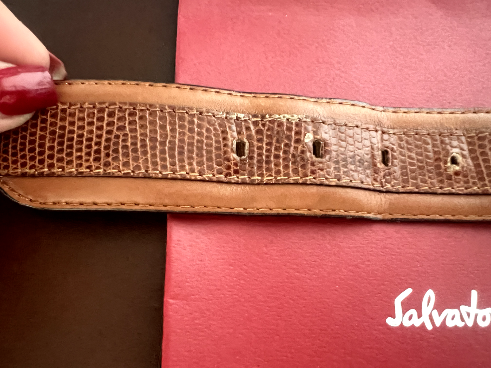 Salvatore Ferragamo Woman Belt Brown Hooks Golden With Signs L 87