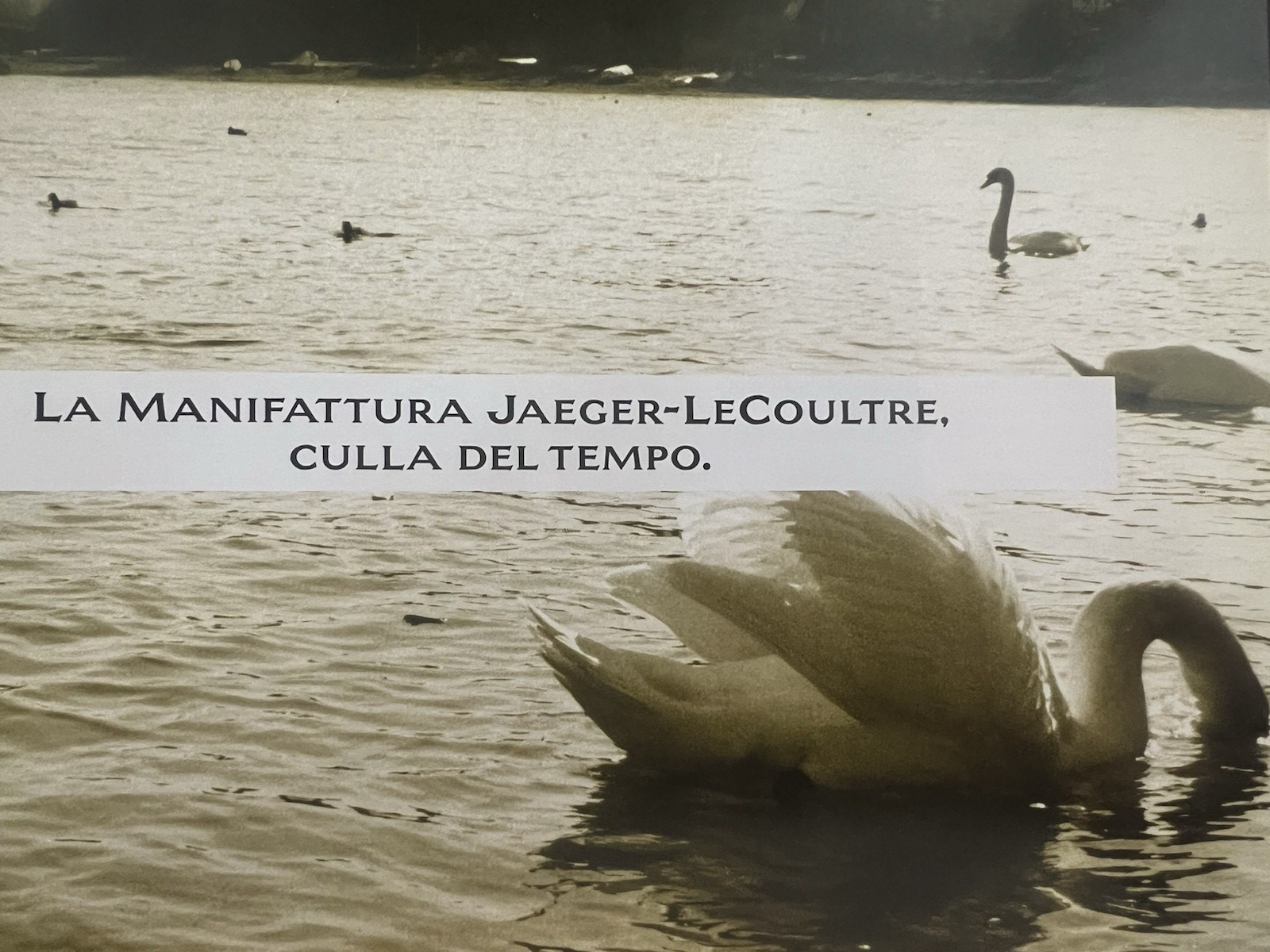 🔴 JAEGER-LeCOULTRE catalogo orologi ufficiale 1995 1996 Libro Manifattura ITALY