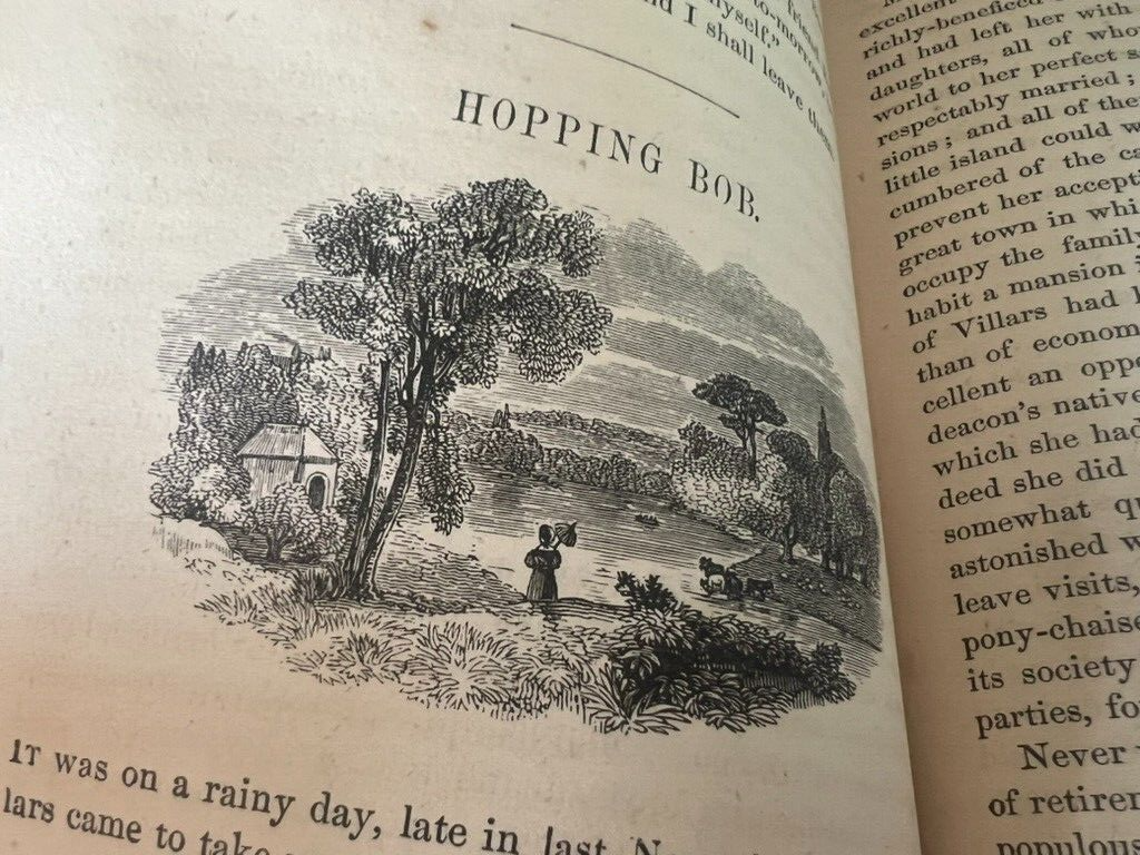 🔴 Buch UNSER DORF Mary Russel Mitford Englischsprachiges SELTENES antikes Buch von 1870 