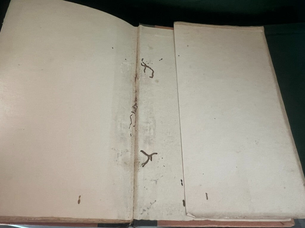 🔴 Buch DAS SCHLOSS VON OTRANTO von Caroline Spurgeton in englischer Sprache aus dem Jahr 1929 