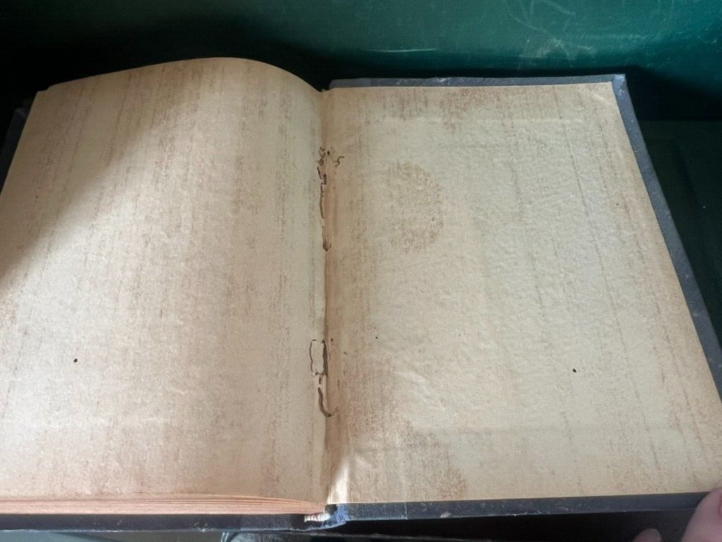 🔴 Libro DON CHISCIOTTE di Edoardo Scarfoglio Il Mattino del 1911