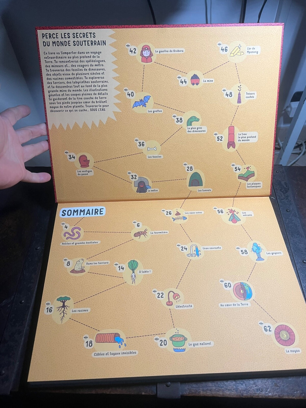 🔴 EAU TERRE book Aleksandra and Daniel Mizielinska French illustrated in color 