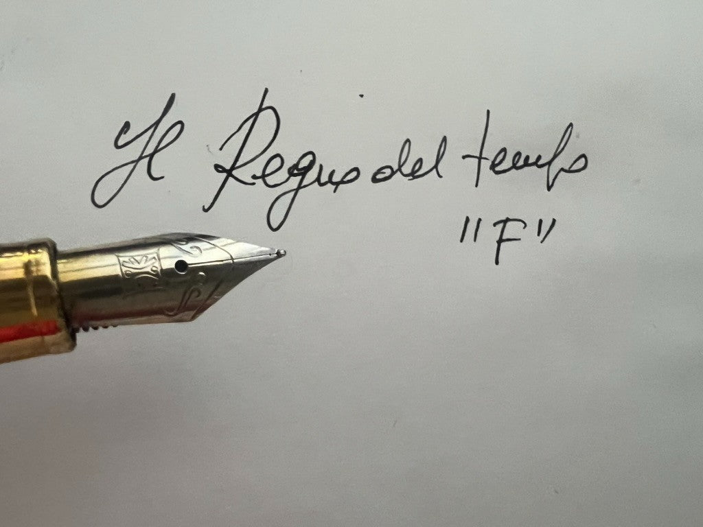 🔴 Penna stilografica e sfera nere profili dorati pennino F scrivono vintage