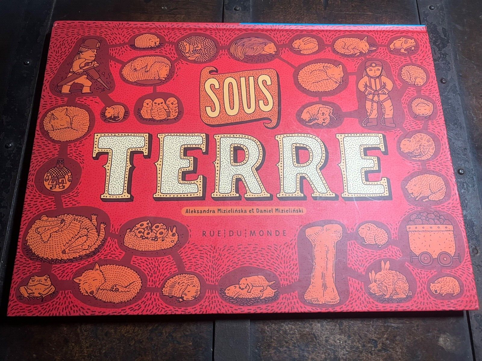 Livre Eau Terre Aleksandra Et Daniel Mizielinska Français Illustré en Couleurs