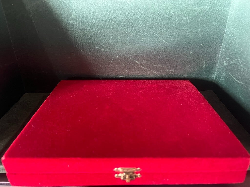 🔴 ASI Auto Moto Car Club Napoli Verbundplatte Metallplatte CONI 1983 rot 