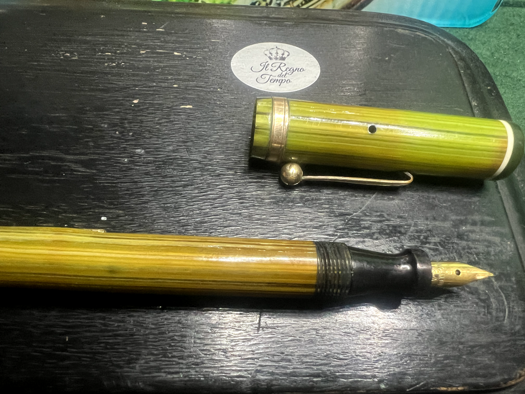 🔴 EUCLID penna stilografica verde nera profili cromati a leva SCRIVE vintage
