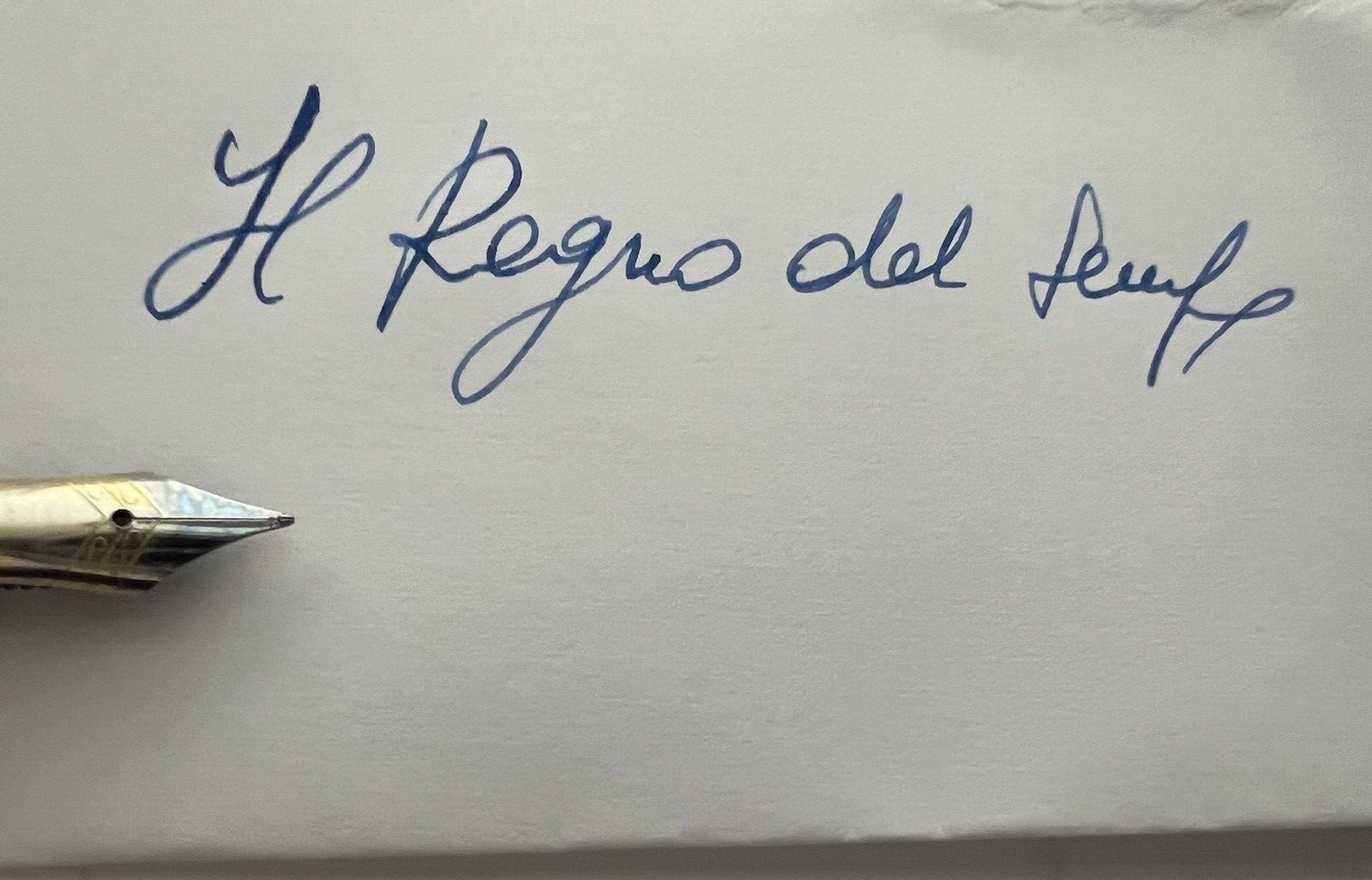 🔴 NAJ OLEARI penna stilografica lacca rossa FIORI rosa scrive vintage 1990