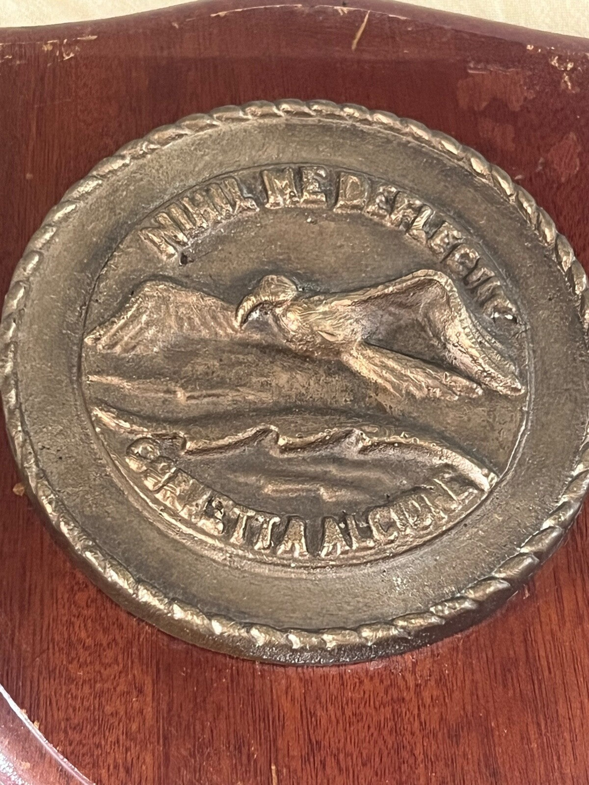 🔴 MARINA MILITARE crest ALCIONE CORVETTA scudo legno ottone vintage